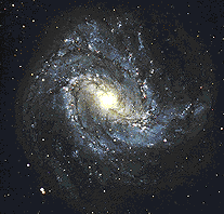 Spiral Galaxy M 83