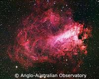 Click here to go to the AAO website