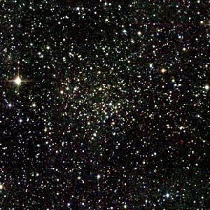 New Open Cluster
