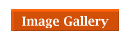 Image Gallery
