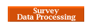 Survey Data Processing