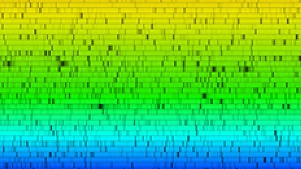 Neid_solarlines_feature