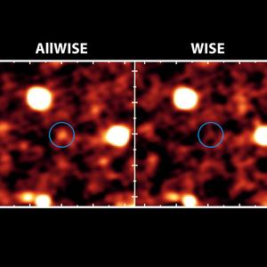 Pia17557